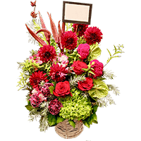 お祝いアレンジメント