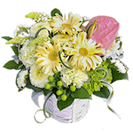 お祝いアレンジメント