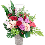 お祝いアレンジメント