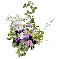 プリザーブド写真